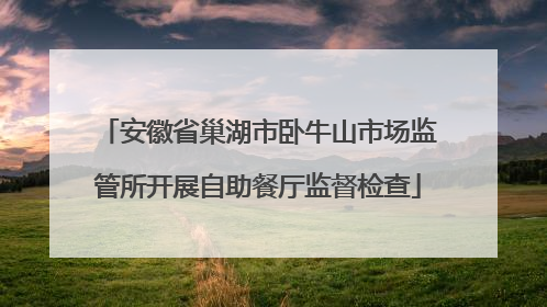 安徽省巢湖市卧牛山市场监管所开展自助餐厅监督检查